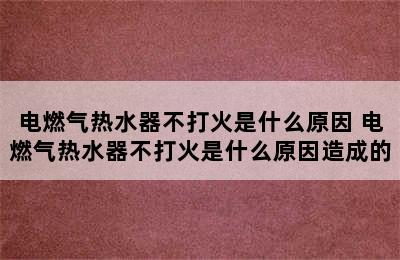 电燃气热水器不打火是什么原因 电燃气热水器不打火是什么原因造成的